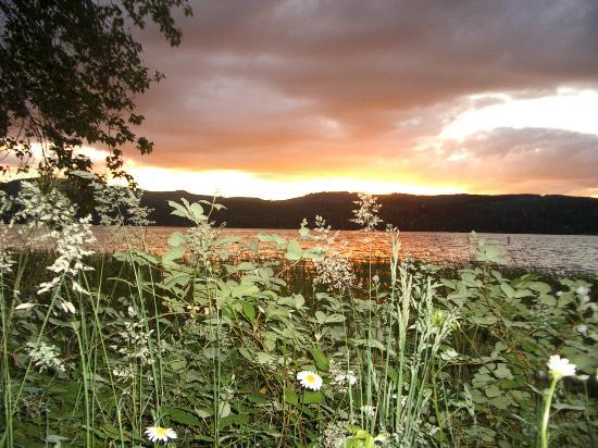 pine-meadows-campground